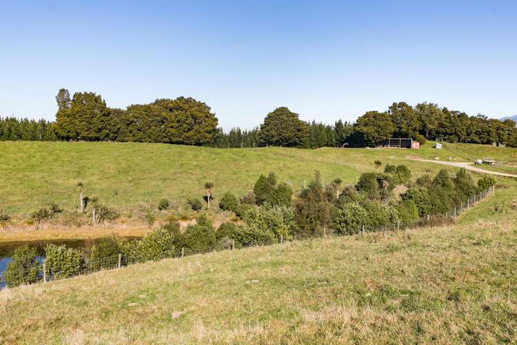 613 Blackburn Road Ongaonga_11