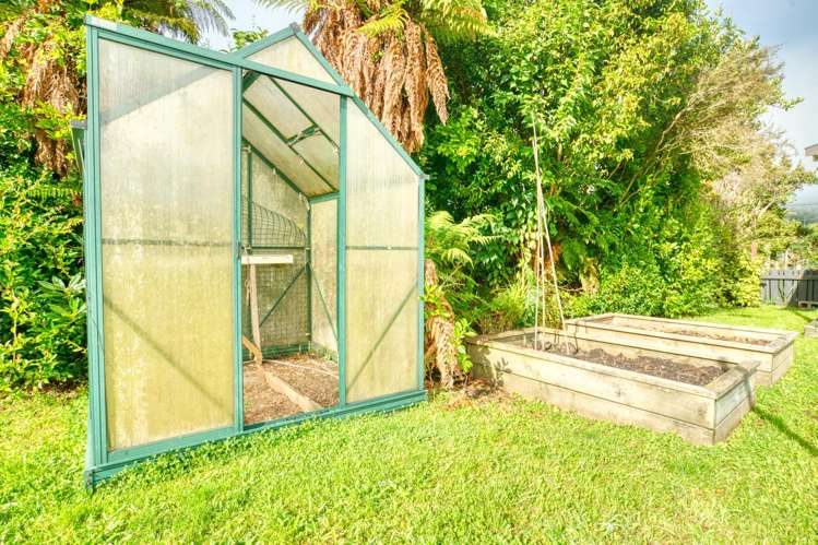 33 Stafford Street Blackball_16