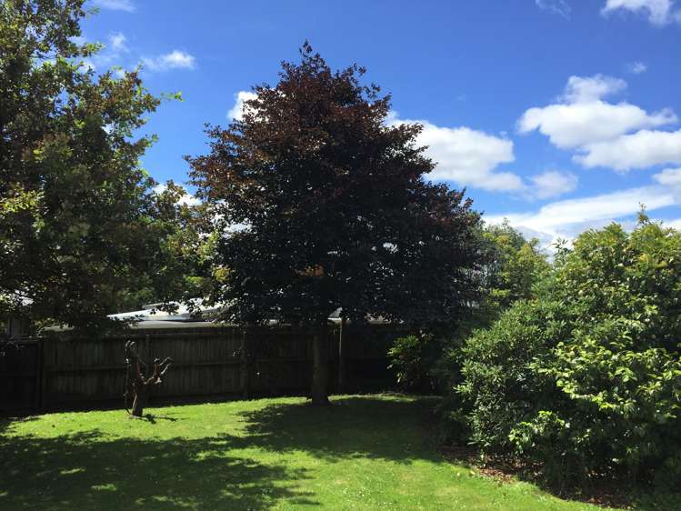 39 Hanrahan Street Upper Riccarton_13