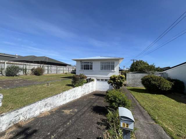 13 Wilton Street Westown_1