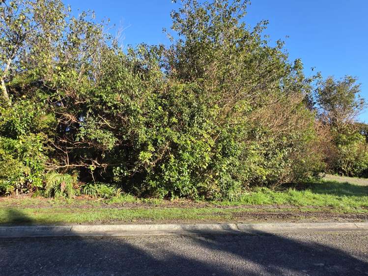 33 Highlander Drive Franz Josef Glacier_8