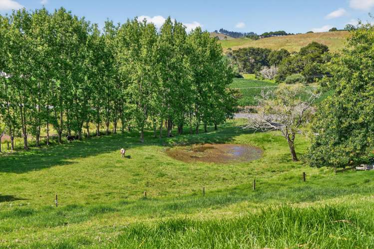 386 South Road Waipu_22