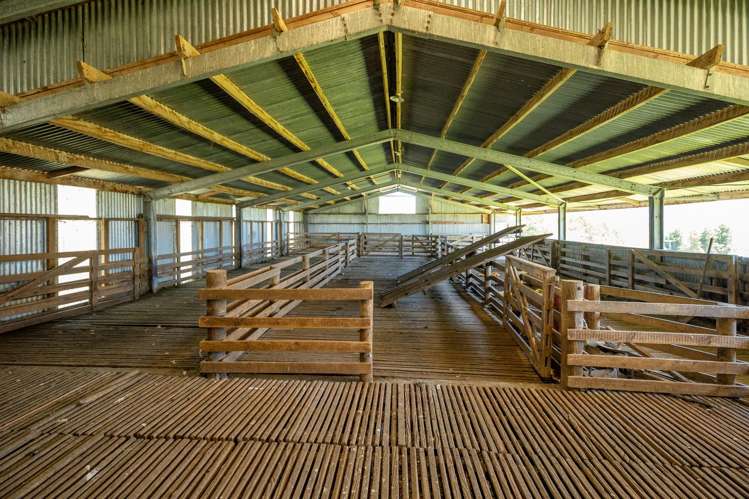 220 Quartz Range Road Bainham_32