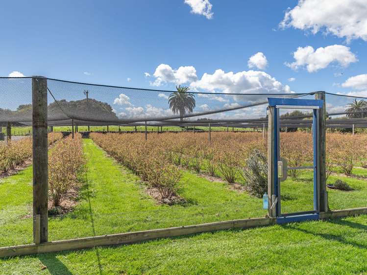 85 Papaitonga Lake Road Ohau_5
