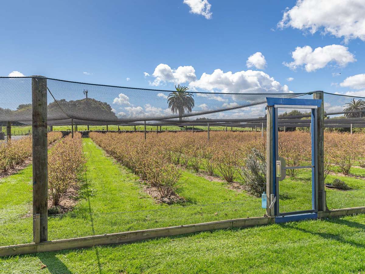 85 Papaitonga Lake Road_1