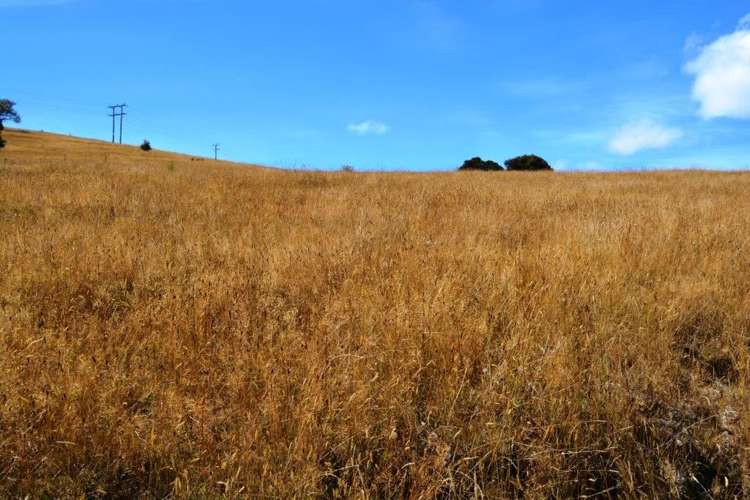 12 Pawsons Valley Road Duvauchelle_8