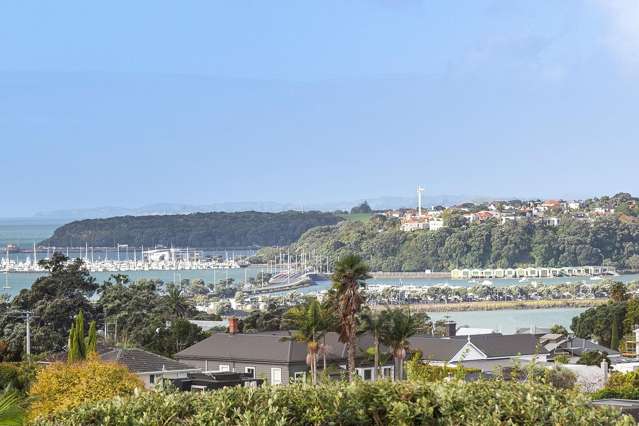 Parnell Icon with elevated views
