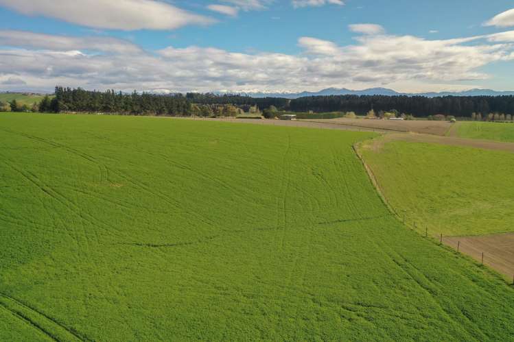 140 King Road Rosewill_5