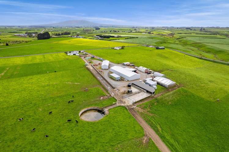 226 Ngarongo Road Normanby_6