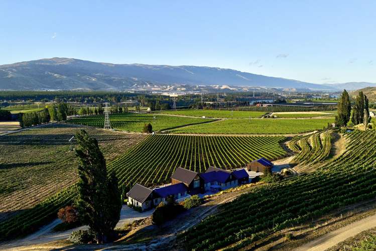 212 Cairnmuir Road Cromwell_29