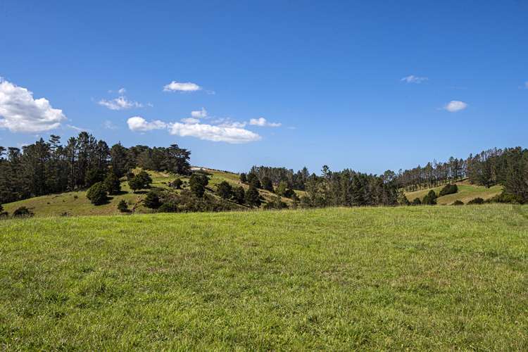 114 Hay Road Hukerenui and Surrounds_26