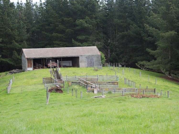 221 Driscoll Road Levels Valley_5