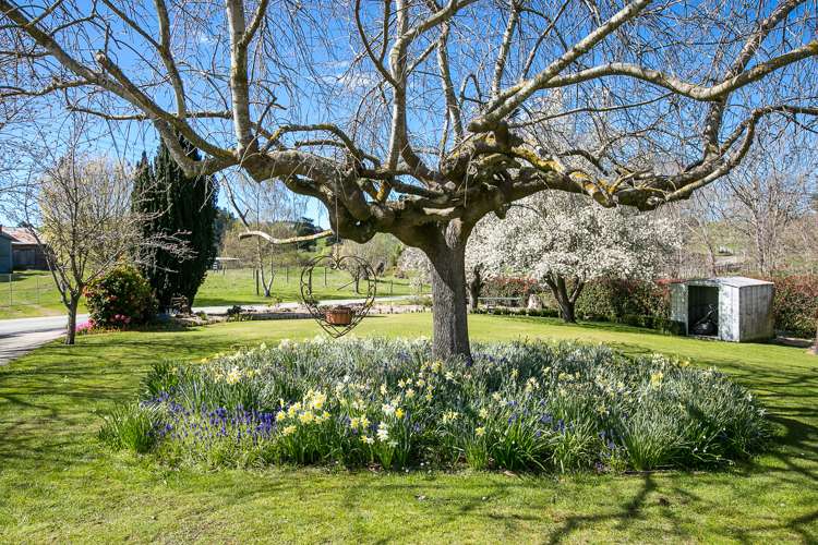 15 and 26 Stenhouse Road, Mount Trotter Palmerston_15