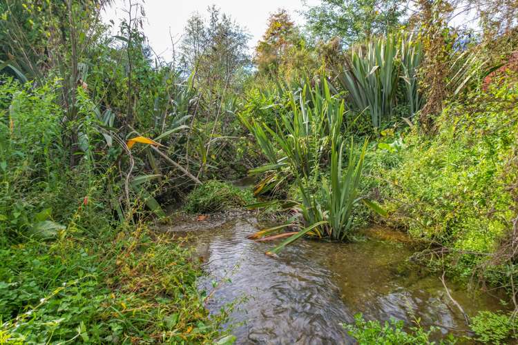 1370 Motueka Valley Highway Ngatimoti_15