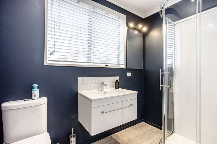 6A Hereford Street Roslyn_18