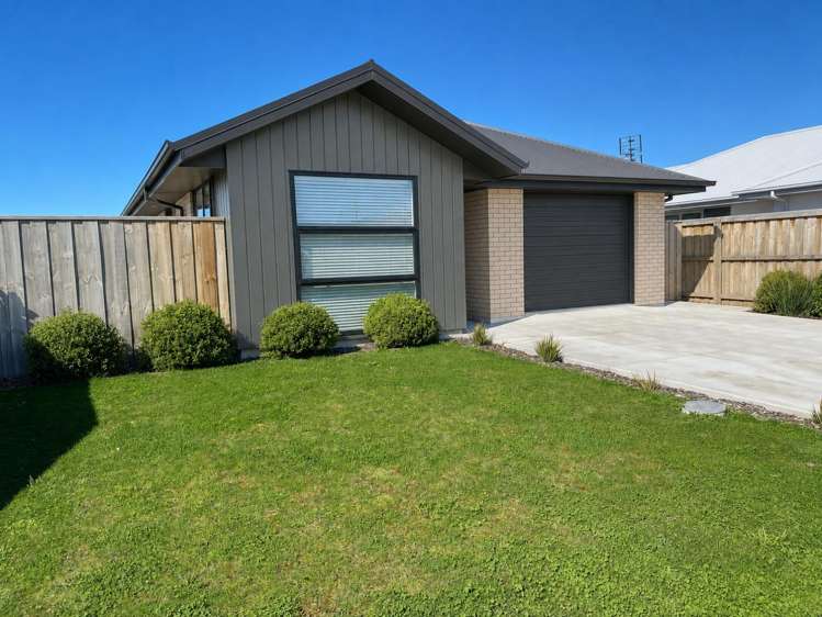 16 Higgins Street 11362_6