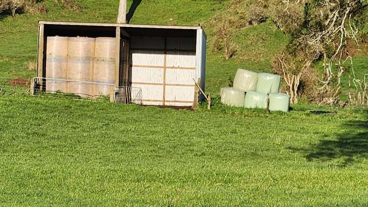 794 Tariki Road Ratapiko_14