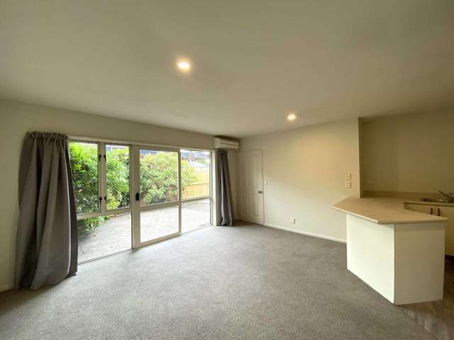 1/91 Peverel Street Riccarton_4