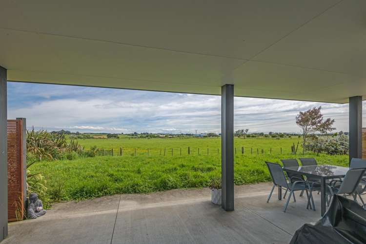 6 George Street Bulls_6