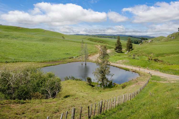 196 Waimanu Road Pukeatua_24