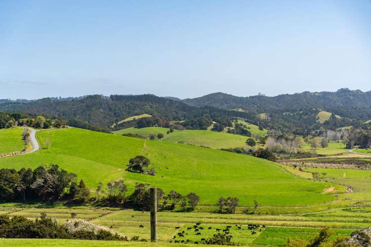 347 Campbell Road Parua Bay_42