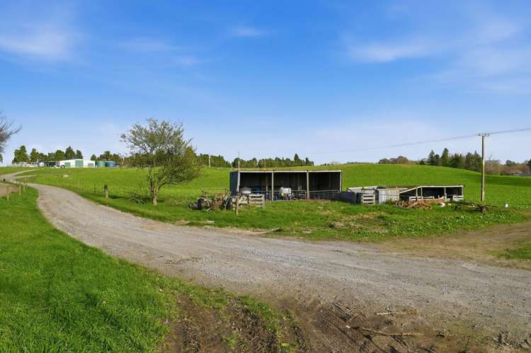 365 Halcrow Road Reporoa_13