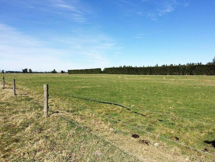 131 Karanga Road Dunsandel_14