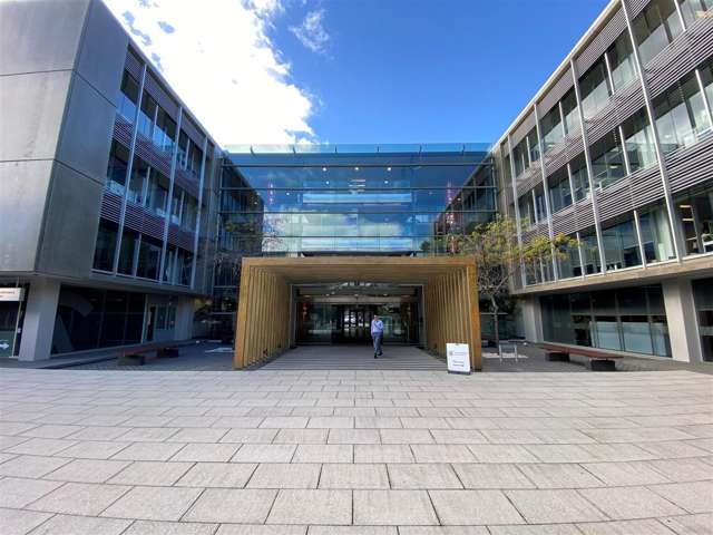 15 Nicholls Lane Parnell_1