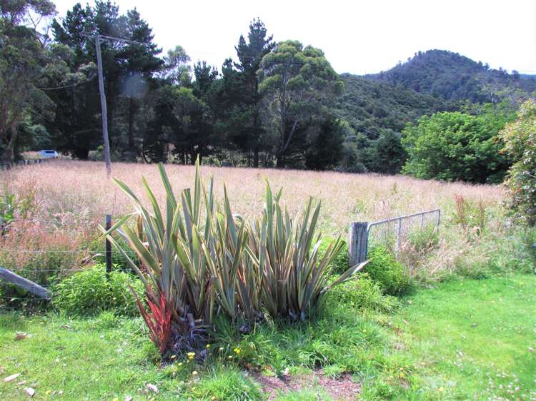 3103 State Highway 6 Barrytown_19