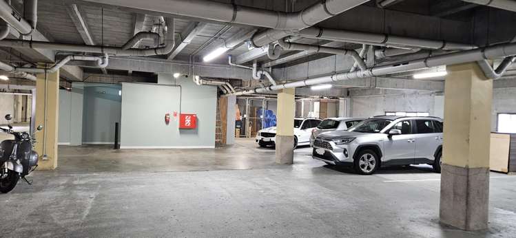 S/7 Feltex Lane Te Aro_8