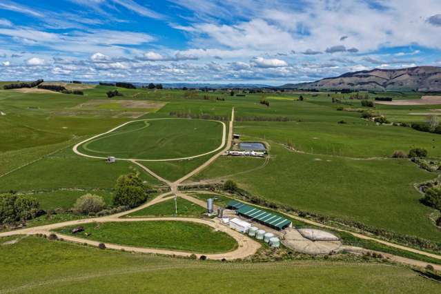 307 Okapua Road Chatton North_4