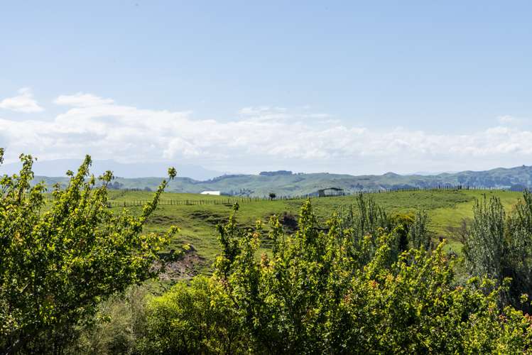 Lot 2/226 Puketitiri Road Poraiti_10