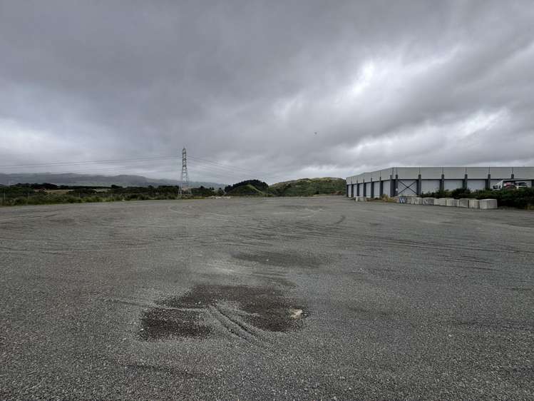 Yard/42 Jamaica Drive_0