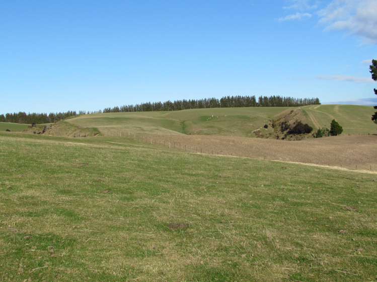 168 Remarkable Road Lawrence_4