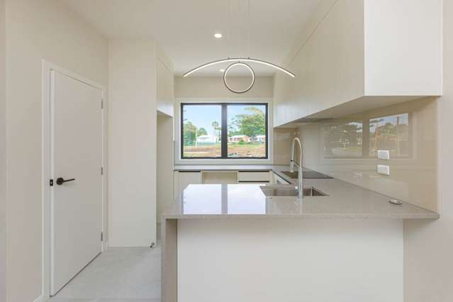 61 Kawiti Avenue 1769_2