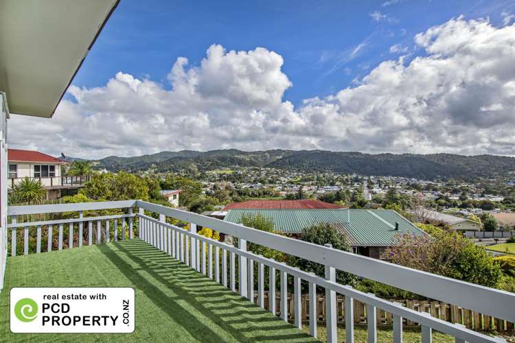 24 Mountain Road Morningside_16