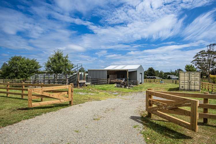 36 Draffin Road Poroti_17