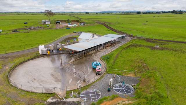 1477D Piako Road Morrinsville_4