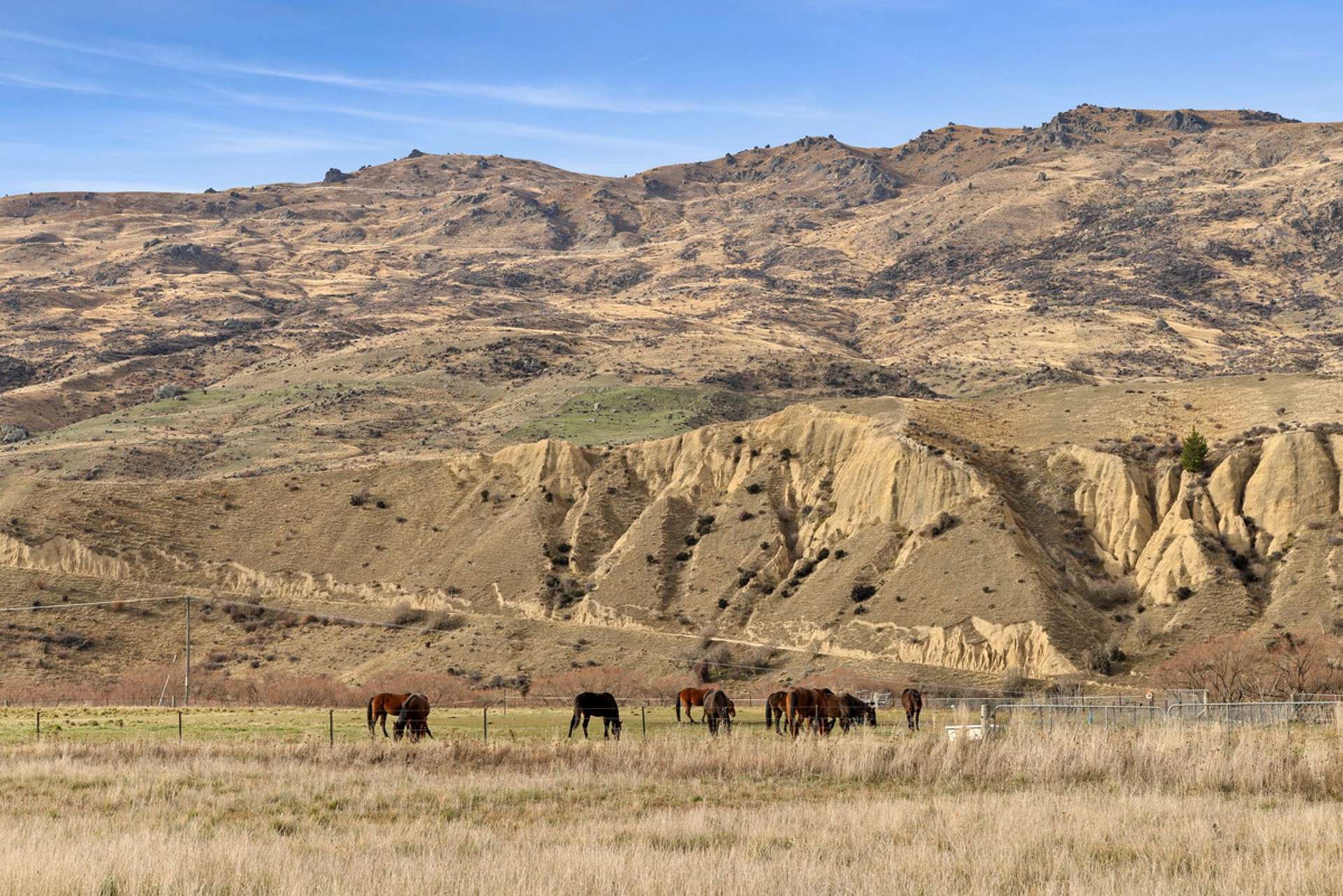 2125 Cardrona Valley Road Cardrona_0