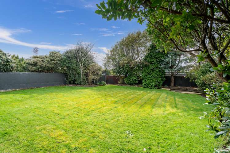 28 Helmsdale Street Waverley_31