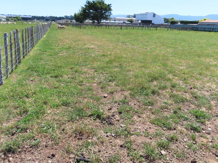 85 Barraud Street Dannevirke_8