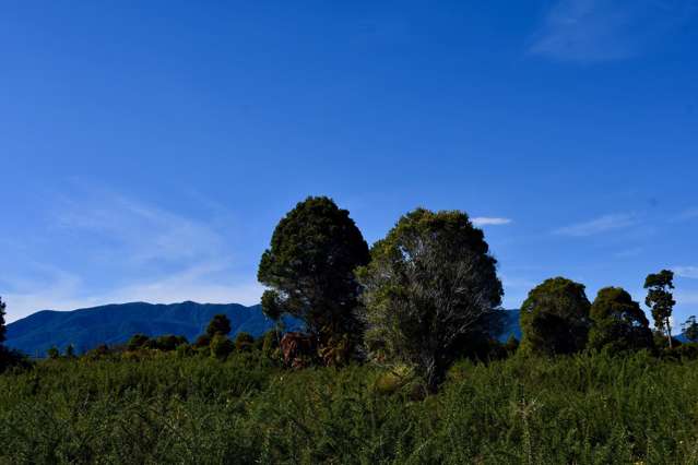 Lot 2 South Terrace Road Karamea_1