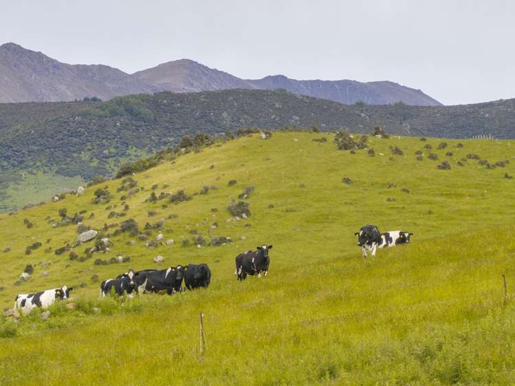 304 Acton Downs Road Acton_24