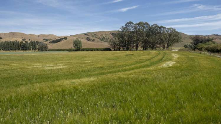 1231 Longbush Road Carterton_16