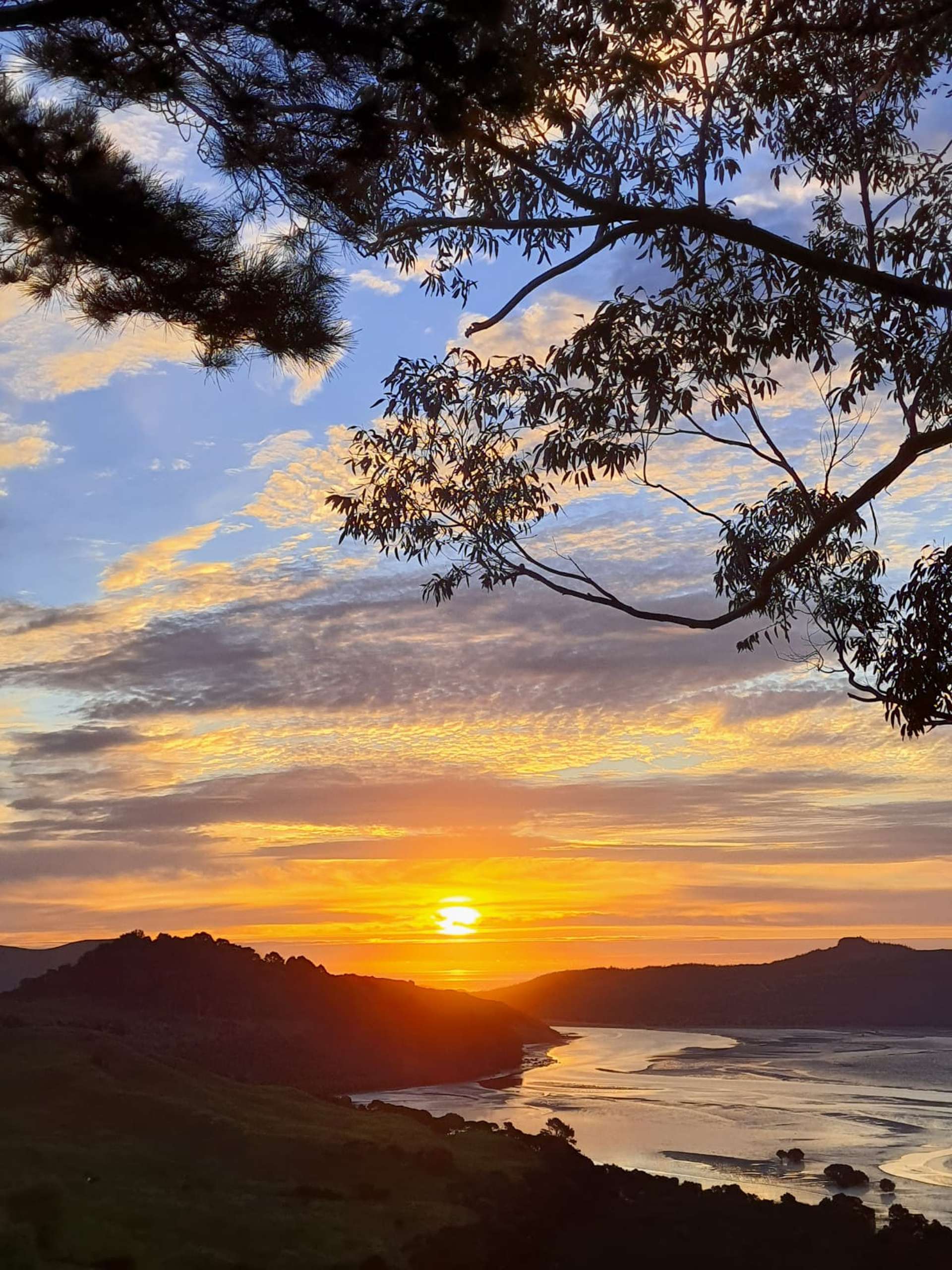 184 Whangape Road Herekino_0