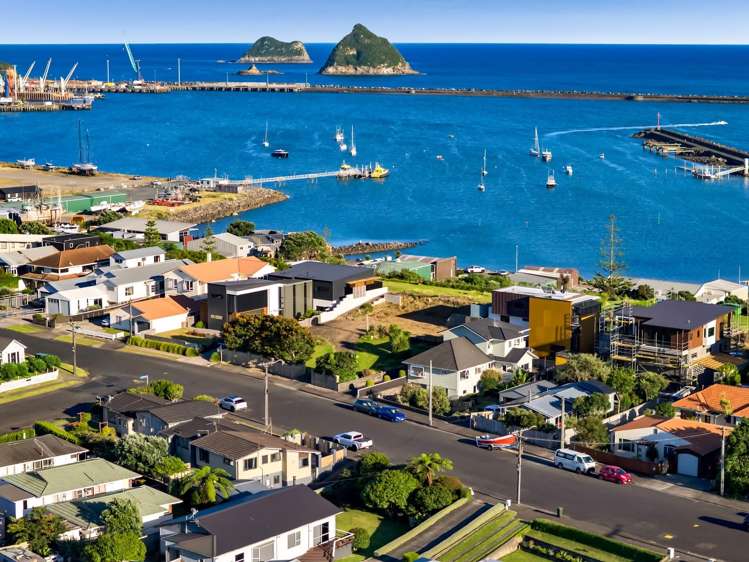 38 Birdwood Avenue Moturoa_14