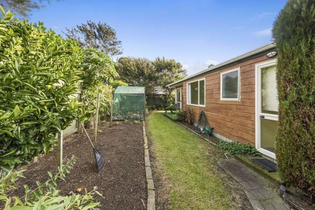 9b Kaniere Street Mount Maunganui_2