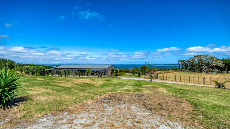 353 Rangiputa Road Karikari Peninsula_87