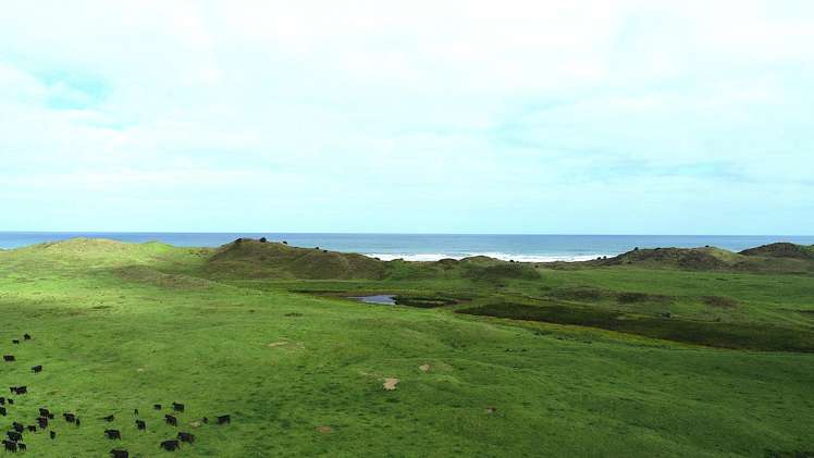 Sandhills Road Ahipara_16