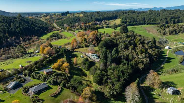 841 Waiwhero Road Ngatimoti_19